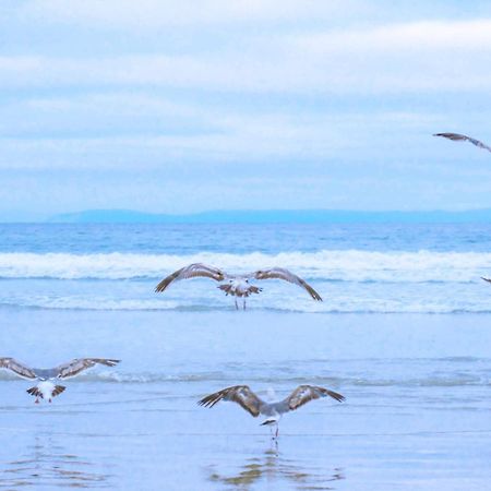 Beach Appartement 27 - Aan De Duinen, Callantsoog Aan Zee 外观 照片