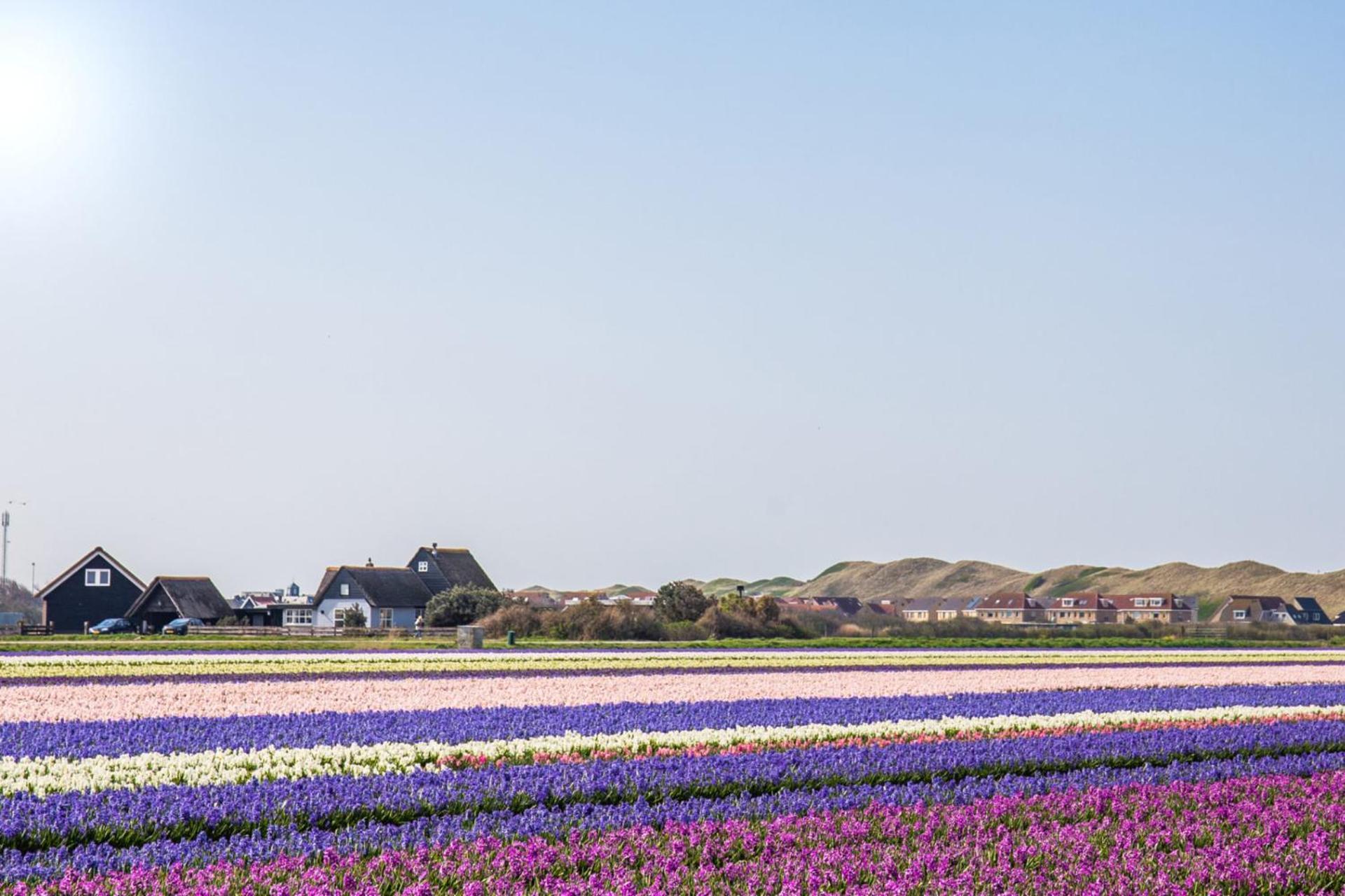 Beach Appartement 27 - Aan De Duinen, Callantsoog Aan Zee 外观 照片